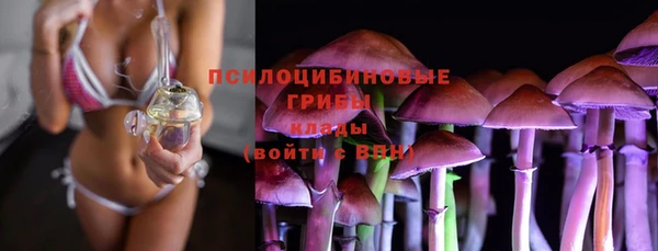 jwh Нязепетровск
