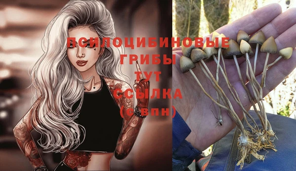 ALPHA PVP Няндома