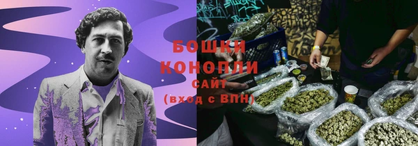 ALPHA PVP Няндома